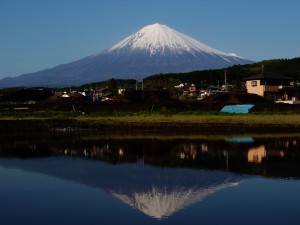 一般社団法人エコロジック